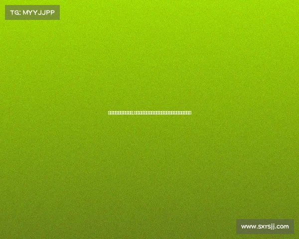 体育赛事组织管理案例,体育赛事内部控制强化策略与安全保障实施路径探索